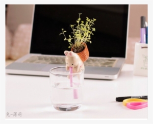 9 Pig Interest Ofiice Desk Green Planting Gerdening - 150105 #4021599