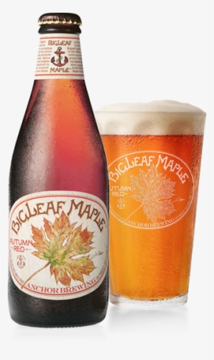 Bigleaf Maple Autumn Red™ Bottleshot - Maple Beer #4022222