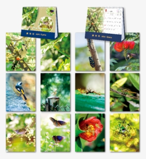 Dmc901world Sceneries 7 Sheets Desk Monthly Calendar - Collage #4022306