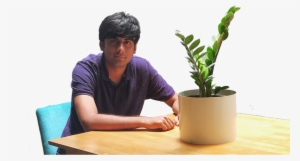 Zoho Sheet - Houseplant #4022390