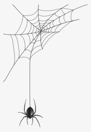 0, - Spider Web Vector #4022857
