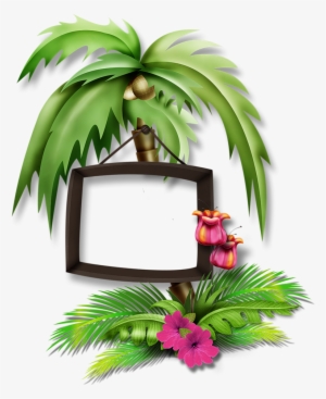 1000 Images About Tropical♒beach⏅water Art Clipartⓟhoto - Portable Network Graphics #4023453