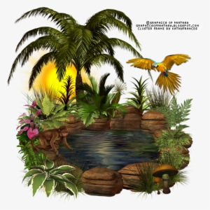Tropical Beauty Cluster Frame - Пруд Пнг #4023511