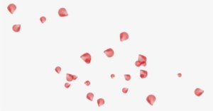 Petalo Di Rosa Png - Le Ceneri Di Candore [book] #4023981
