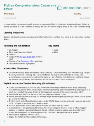 Cause And Effect - Vowels And Consonants Lesson Plan #4024105