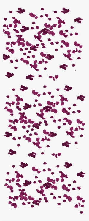 607 × 2000 In Petalos #4024184