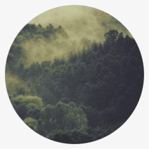 Trees - Hello October 2016 Hd #4024591