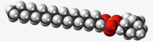Perifosine Zwitterion 3d Spacefill - Space Filling Model Of Phospholipide #4024634