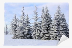 Winter View Of A Group Of Frost And Snow Covered Spruce - Snow #4025159