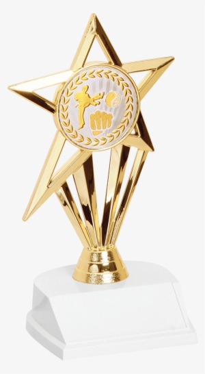 Martial Arts Star Trophy - Trophy #4025270