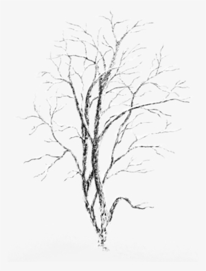 Winter Snowy Tree Png Picture - Cafepress Sic L Cutting Board 820 H F Square Sticker #4025344