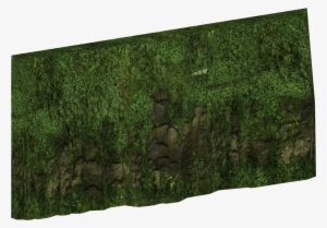 Tropical Background #4025487