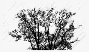 Monochrome #4025750 Monochrome #4025750