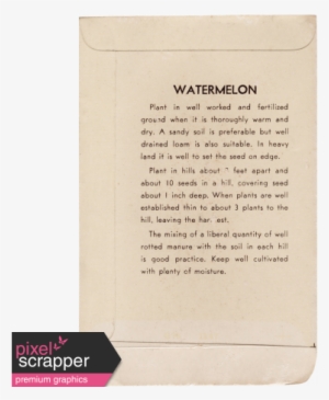 Slice Of Summer - Document #4026591