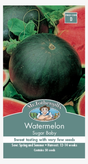 Mr Fothergill's Sugar Baby Water Melon Fruit Seed - Mcgregor's Baby Sugar Watermelon Seeds #4026765