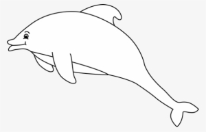 White Dolphin With Black Background #4026841