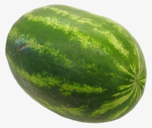 Watermelon Hybrids - Watermelon Transparent Background #4026923 Watermelon Hybrids - Watermelon Transparent Background #4026923