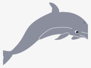 Dolphin Clipart Spinner Dolphin - Dolphin #4027091