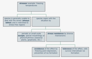 Plants And Climatic Stress - Esquema Del Estres #4027328