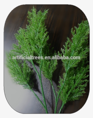 Light Green 2 - Tree #4027640