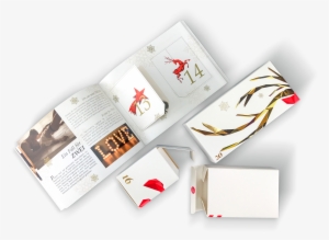 Limited-edition Adult Advent Calendar Gift Box - Document #4027804