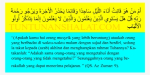 Azzumar2 - Document #4027832