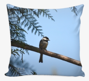 Chickadee In A Cedar Tree - Canvas Print #4028074
