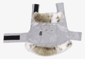 Fur Clothing #4028931