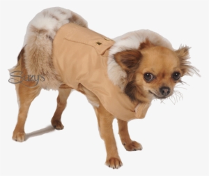 Coat #4029111