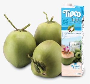 Coconut Water Tipco Coconut Water 1l - Tipco 100% Coconut Water #4029977