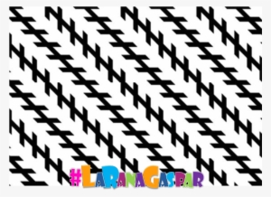 ¿¿¿lineas Paralelas Y Rectas - Classic Optical Illusions #4031250