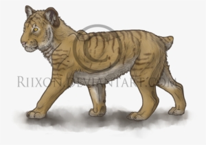 Smilodon Cub By Riixon On Deviantart - Saber Tooth Tiger Cub #4031442