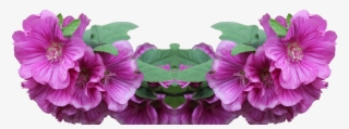 Lavatera, Shrub, Png, Plant, Flower, Pink, Foreground - Love #4031890