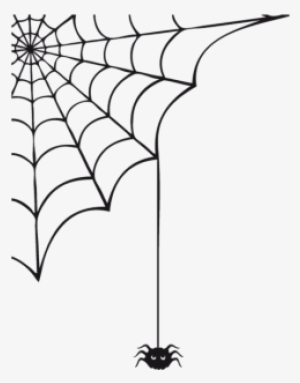 Color De La Superficie - Spider Vector #4031917