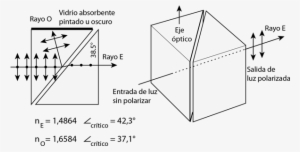 El Rayo O Se Elimina Y El Rayo E Continua En Línea - Triangle #4032020