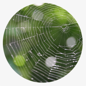 Telaraña - Search Engine Optimization #4032045