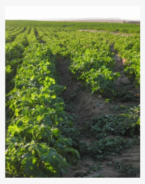 Contact - Square Metre #4032104