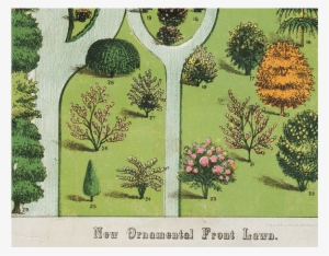 071 C0cacef2 9139 4c55 869a D2420a62a207 V=1527865563 - Garden #4032205