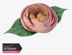 Pink Fabric Rose And Leaf - Vrijhof #4032990