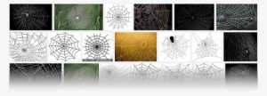 Even A Quick Google-search For “spiderweb” Didn't Help - Diablo 3 Spider Web #4033172