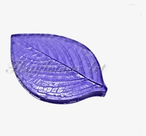 Garden Roses #4033463