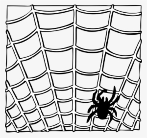 Spider, Web, Insect, Animal, Halloween - Spider Web Clip Art #4033489