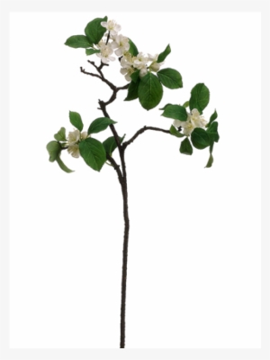26" Apple Blossom Spray White - Silk Plants Direct Apple Blossom Spray - White - Pack #4033538