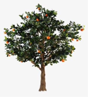 Professional Multifunctional Garden Tree Pruning Grafting #4033765 Professional Multifunctional Garden Tree Pruning Grafting #4033765