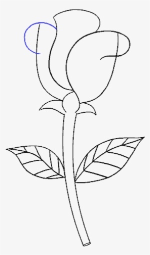 Medium Size Of How To Draw A Simple Rose Bush Bunch - Simple Pink Rose ...