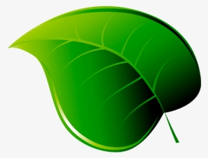 Folha Desenho Png - Folha Em Png #4034347 Folha Desenho Png - Folha Em Png #4034347