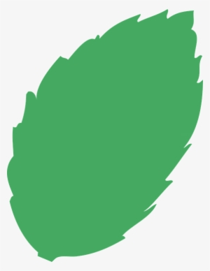 Folha Arvore Png - Hoja De Arbol Png #4034433