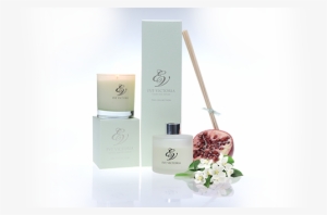 Apple Blossom & Pomegranate - Rose #4034435