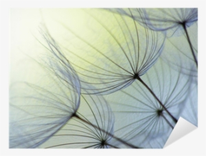 Dandelion Seed Png Download - Dandelion Personal Checks #4034477