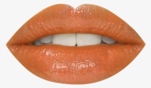 Coin Purse #4034592 Coin Purse #4034592